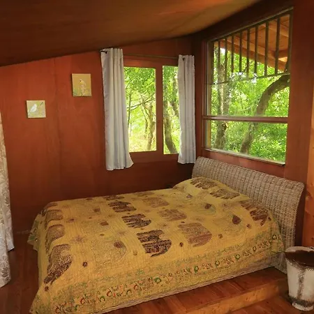 Cabane Au Coeur De La Foret Des Landes De Gascogne Belin-Beliet Buitenkant foto